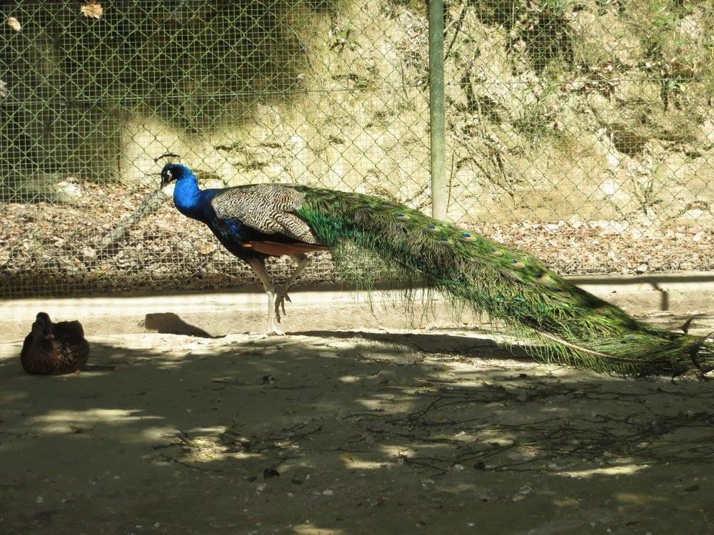 Encosta Dos Túneis - Turismo E Lazer Sever do Vouga Exterior foto